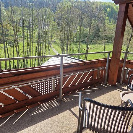 Haus Daut Fewo Mit Hallenbad Willingen  Exteriör bild