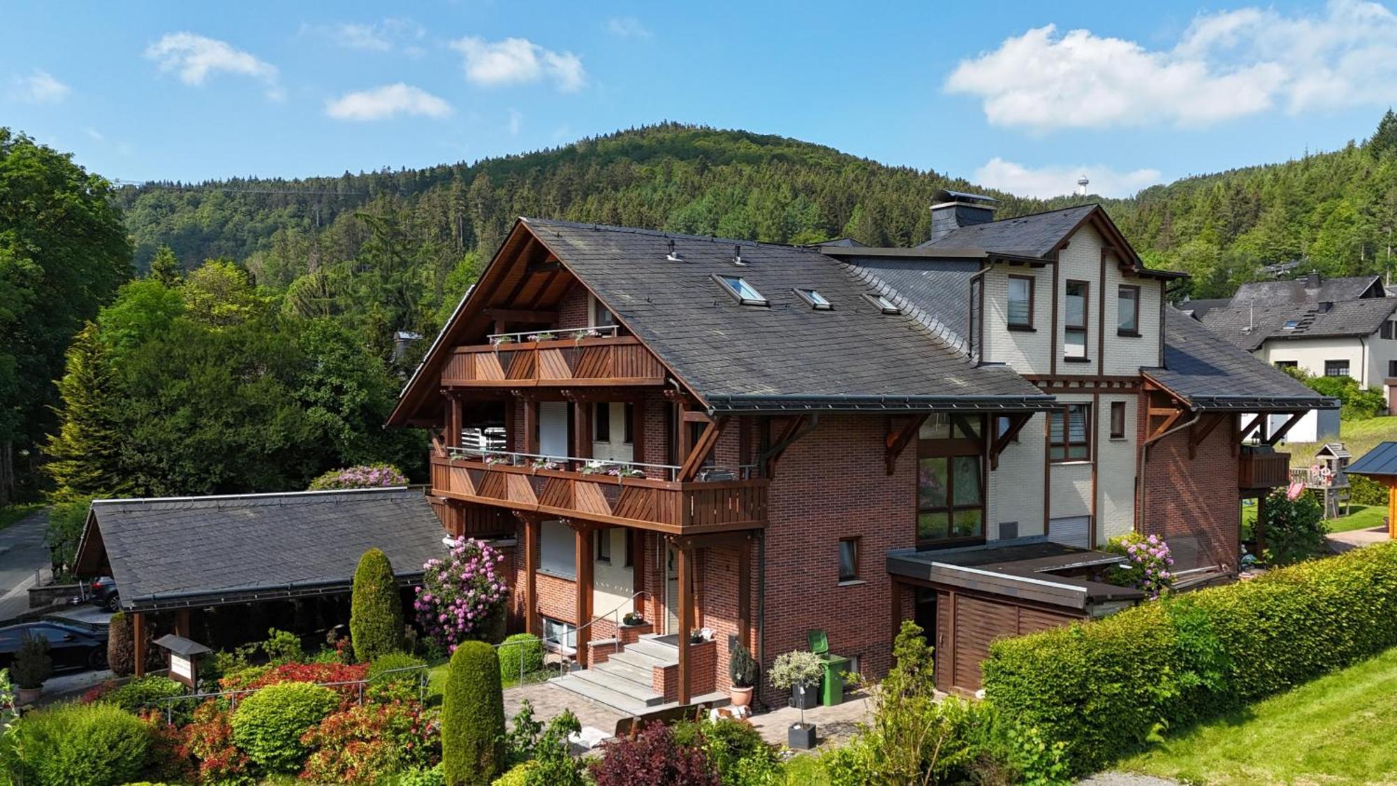 Haus Daut Fewo Mit Hallenbad Willingen  Exteriör bild